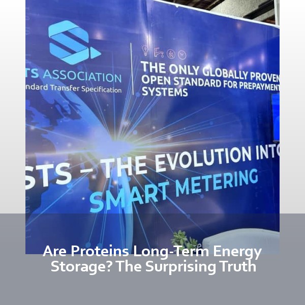 Are Proteins Long-Term Energy Storage? The Surprising Truth